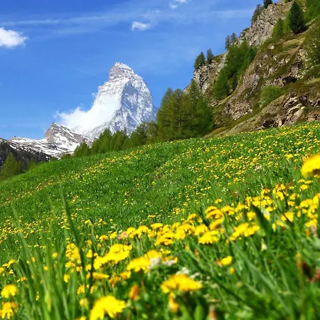 Lauberhaus Appartement Zermatt